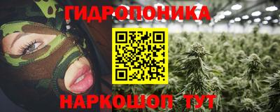 прущие грибы Кингисепп